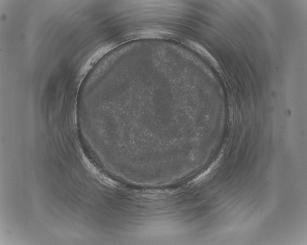 X0000071780938200607282234