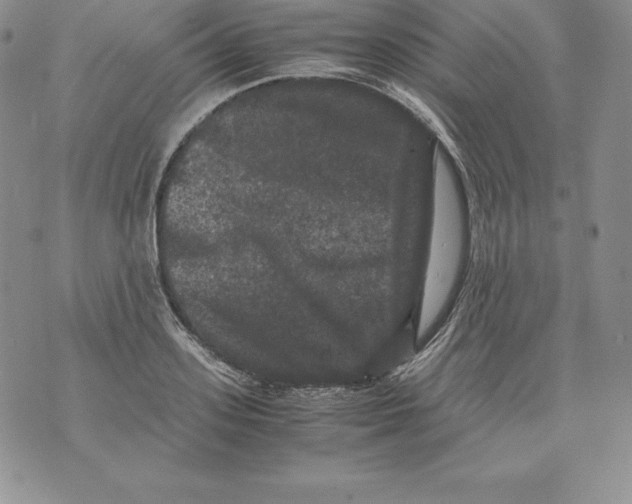 X0000071780939200607282234