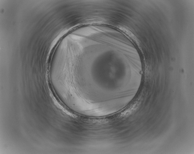 X0000071780941200607282234