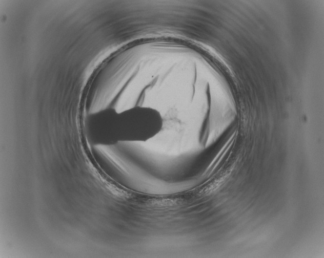 X0000071780943200607282234