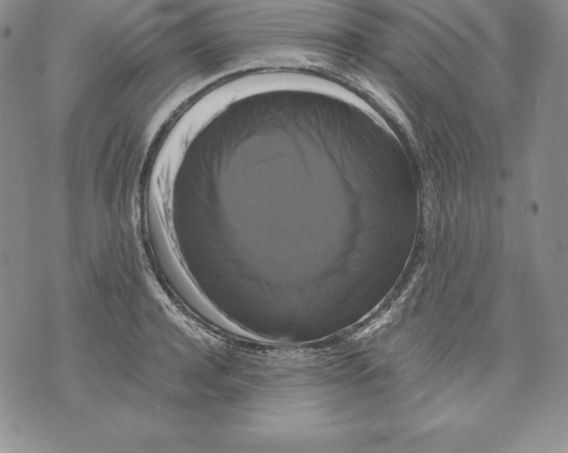 X0000071780944200607282234