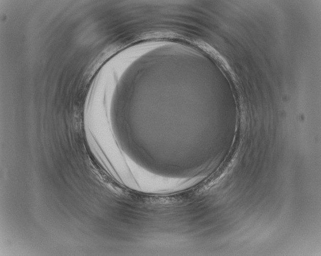 X0000071780945200607282234