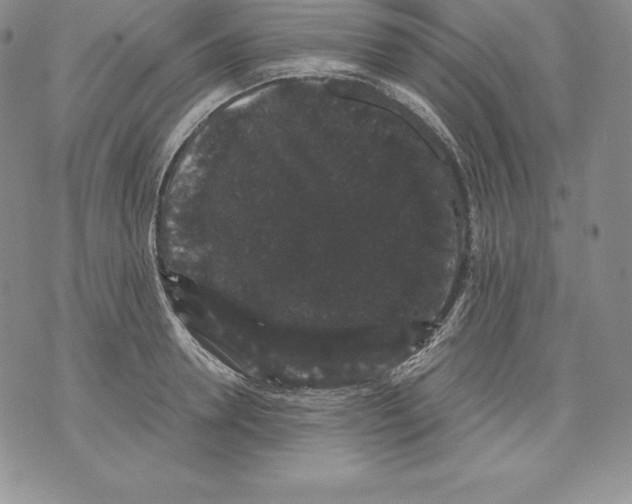 X0000071780946200607282234