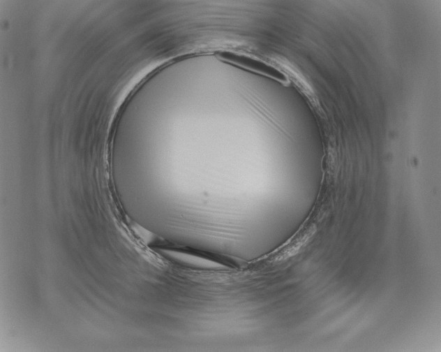 X0000071780948200607282235