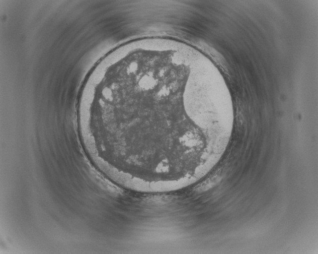 X0000071780950200607282235