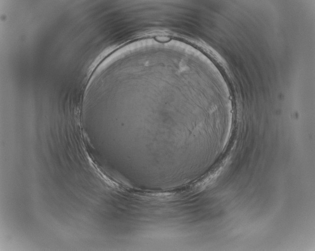 X0000071780953200607282235