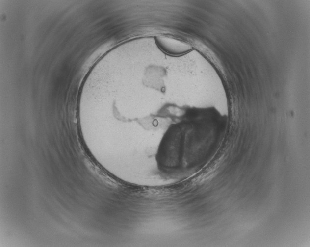 X0000071780954200607282235