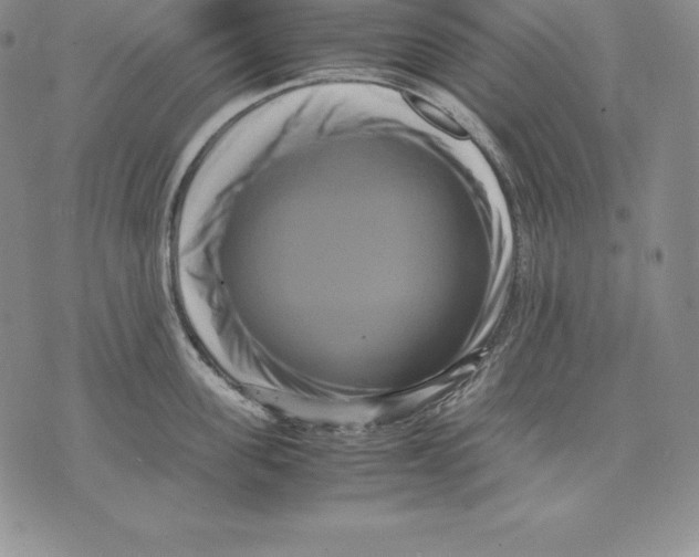 X0000071780955200607282235