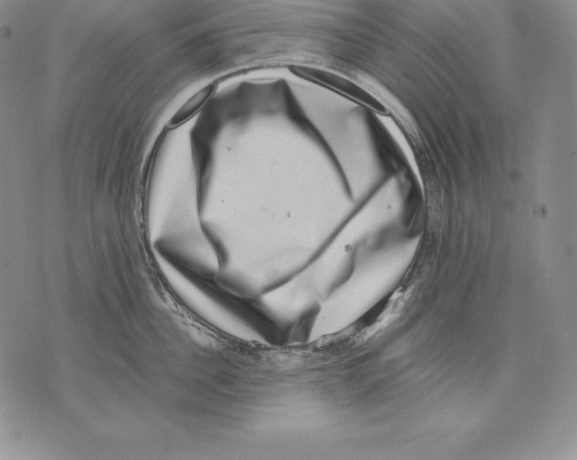 X0000071780956200607282235