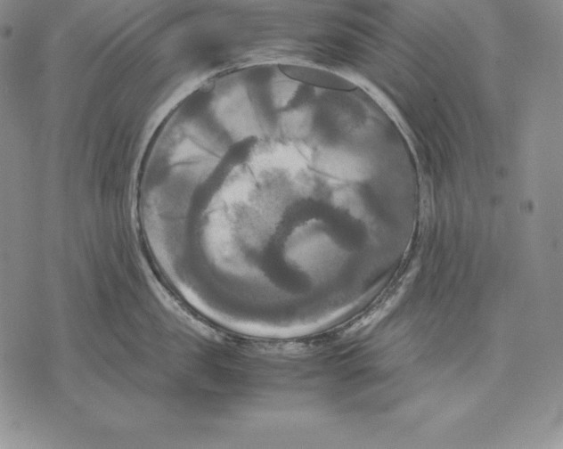 X0000071780957200607282235