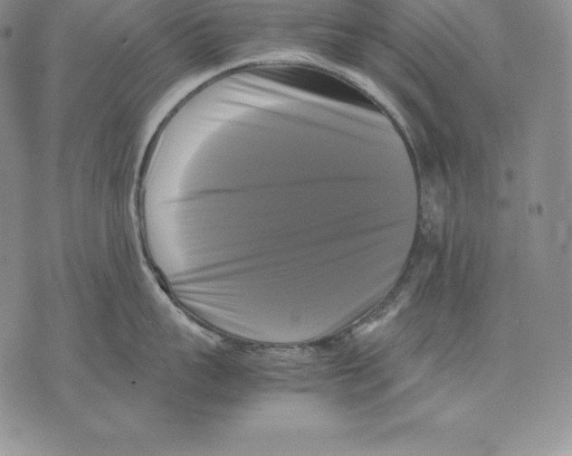 X0000071780959200607282235