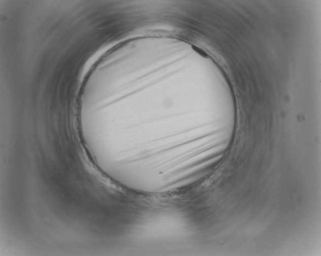 X0000071780960200607282235