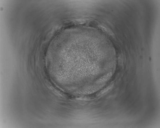 X0000071780961200607282234