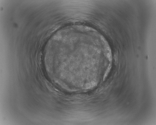 X0000071780963200607282234