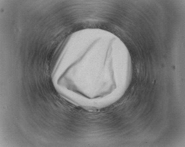 X0000071780964200607282234