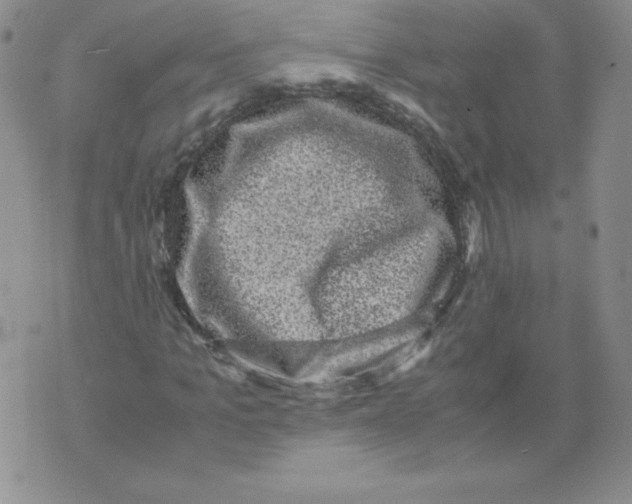 X0000071780965200607282234