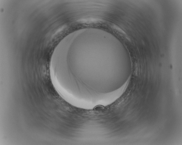 X0000071780966200607282234