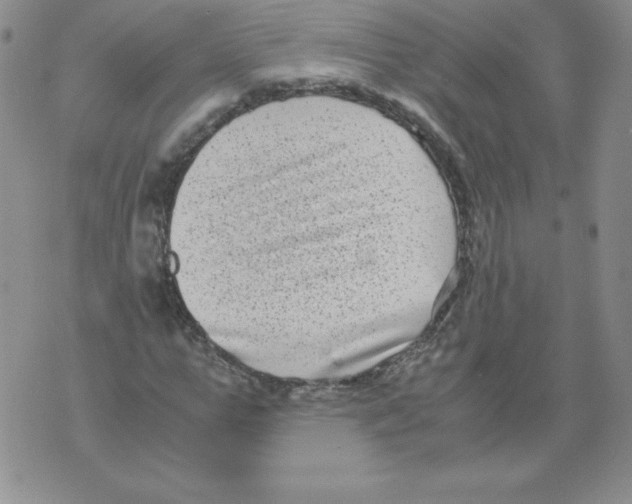 X0000071780967200607282234