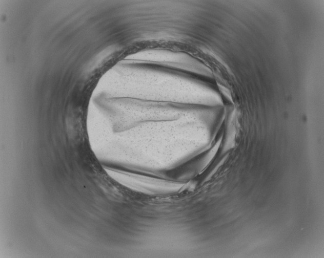 X0000071780968200607282234