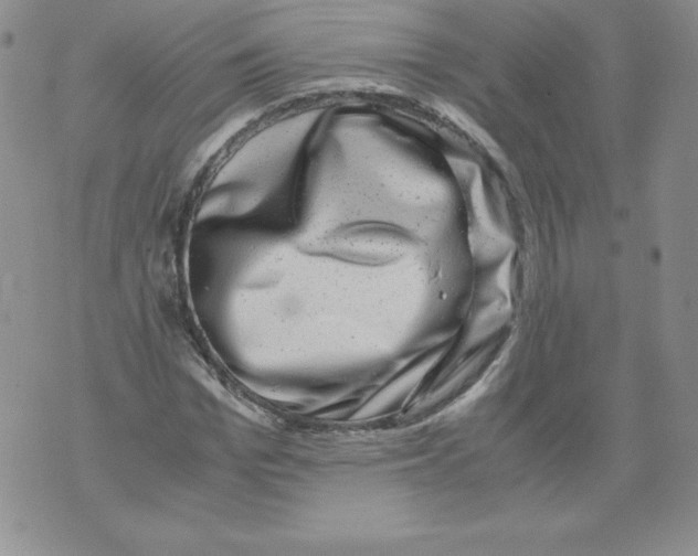 X0000071780969200607282234