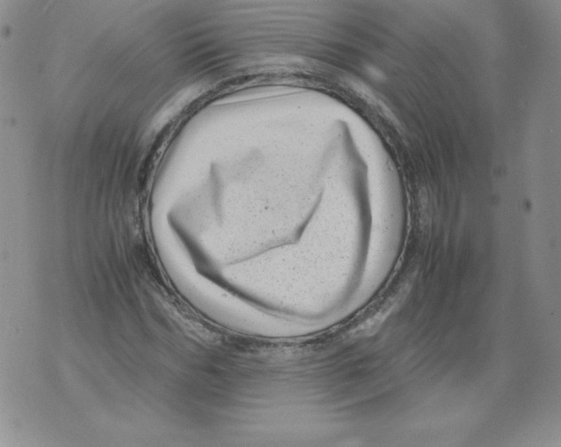 X0000071780970200607282234