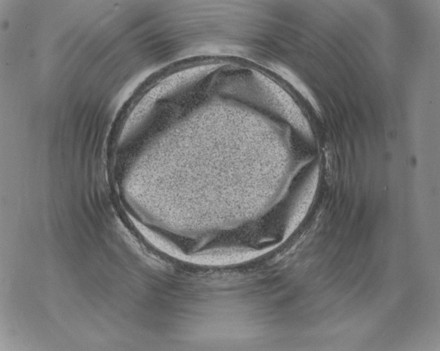 X0000071780972200607282234