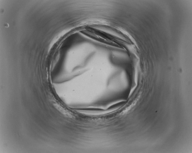 X0000071780973200607282234