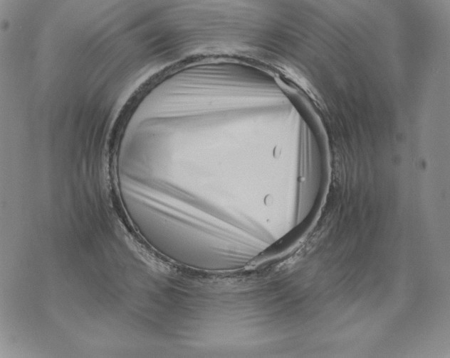 X0000071780976200607282234