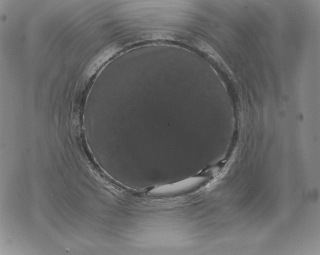 X0000071780977200607282234