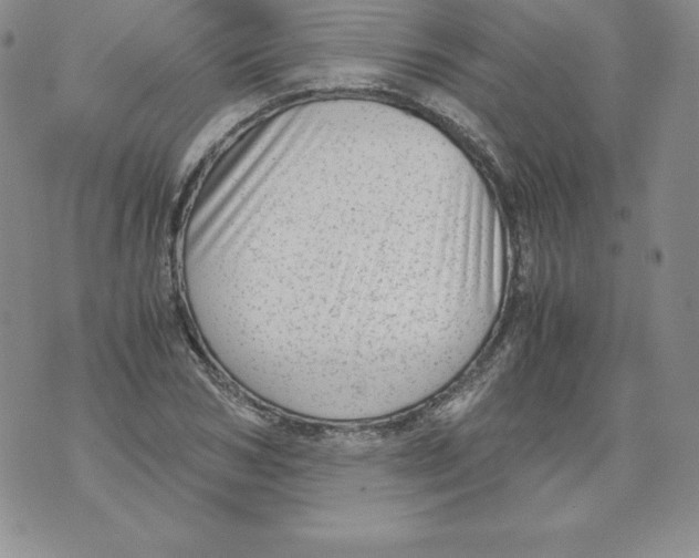 X0000071780978200607282234