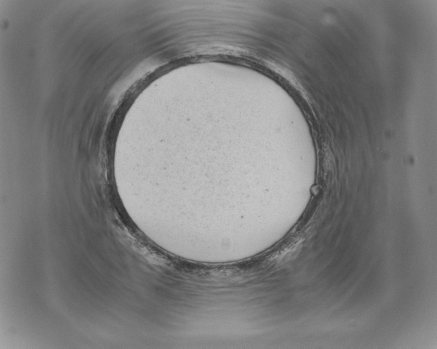 X0000071780979200607282234