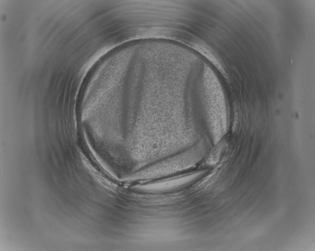 X0000071780980200607282234