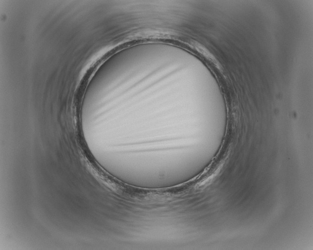 X0000071780981200607282234