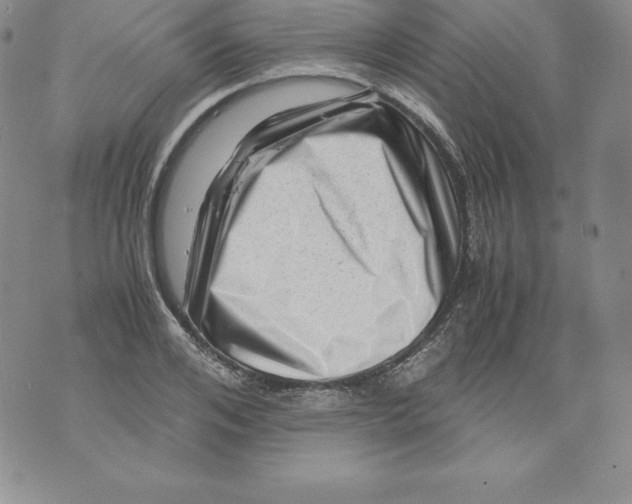 X0000071780984200607282234