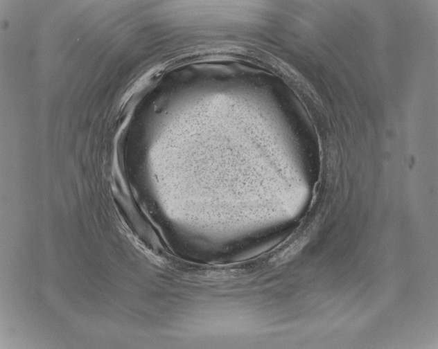 X0000071780985200607282234