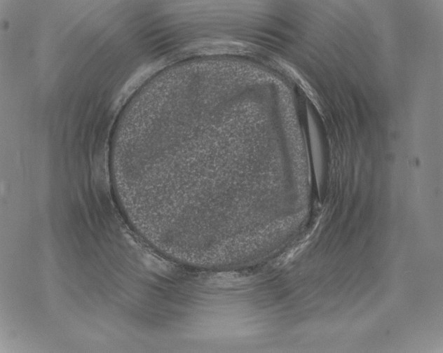 X0000071780986200607282234