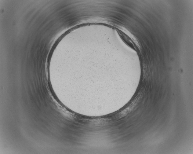 X0000071780988200607282234