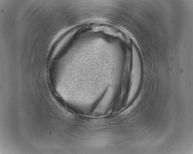 X0000071780989200607282233