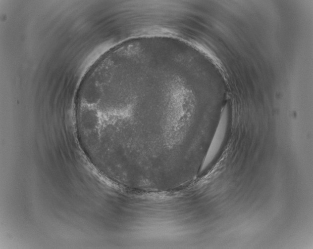 X0000071780990200607282233