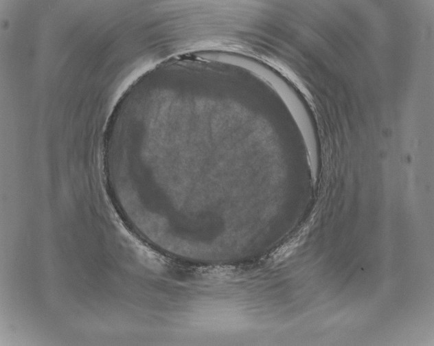 X0000071780991200607282233