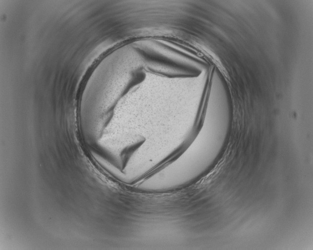 X0000071780992200607282233