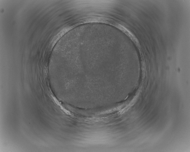 X0000071780993200607282233