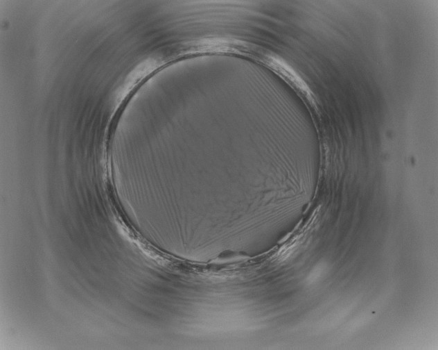 X0000071780994200607282233