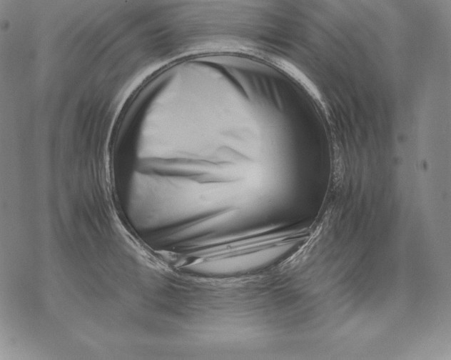 X0000071780996200607282233