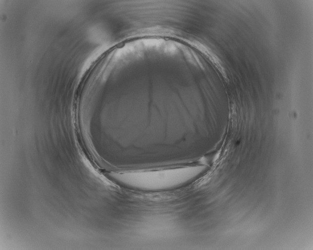 X0000071780998200607282233