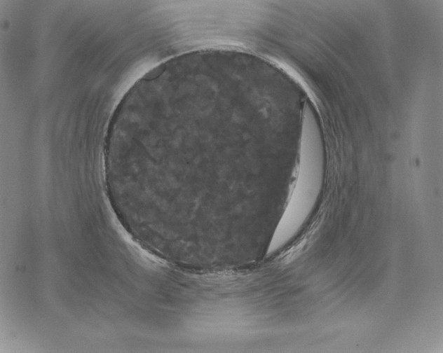 X0000071780999200607282233