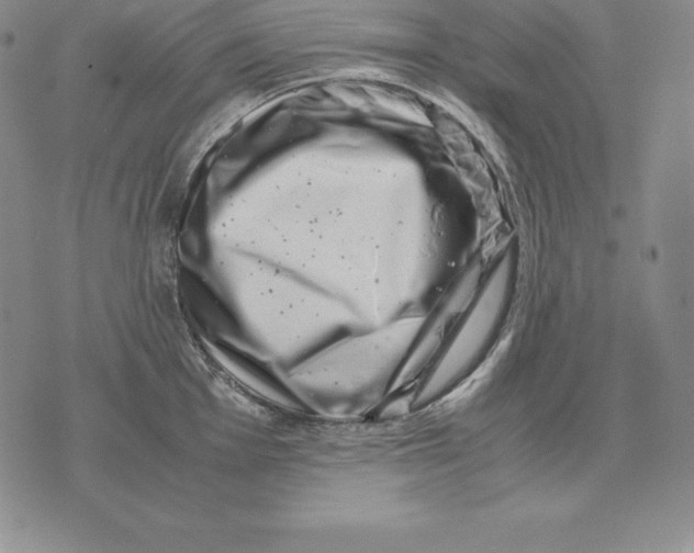 X0000071781001200607282233