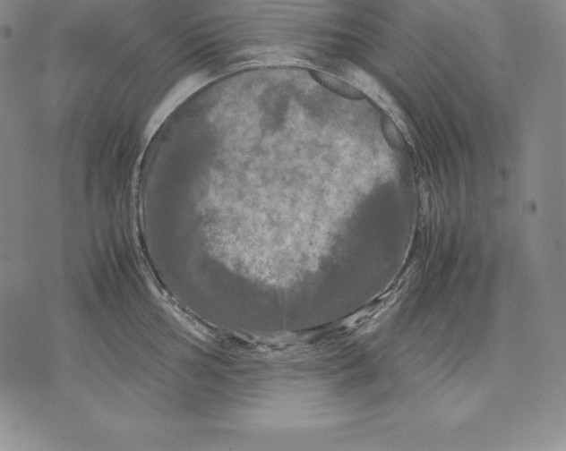 X0000071781002200607282233