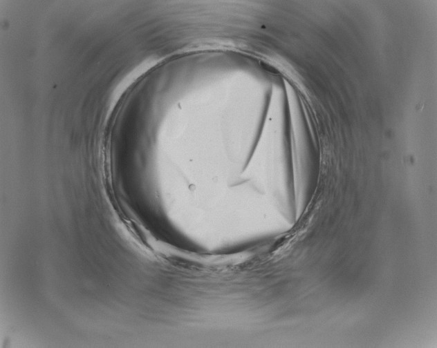 X0000071781003200607282233