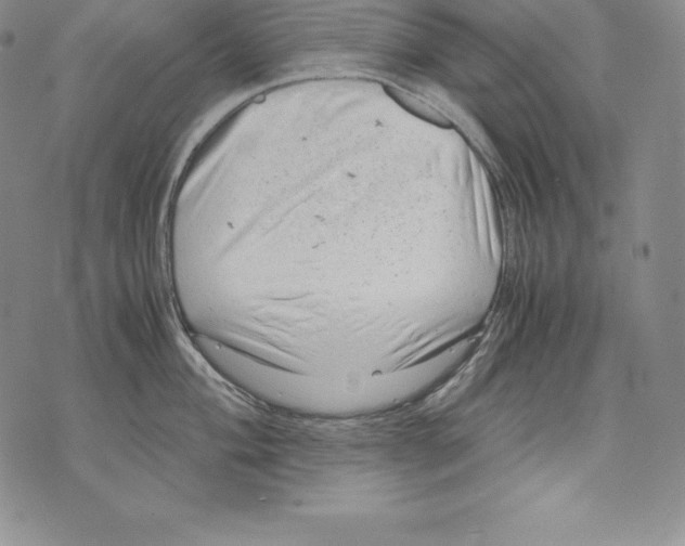 X0000071781004200607282233